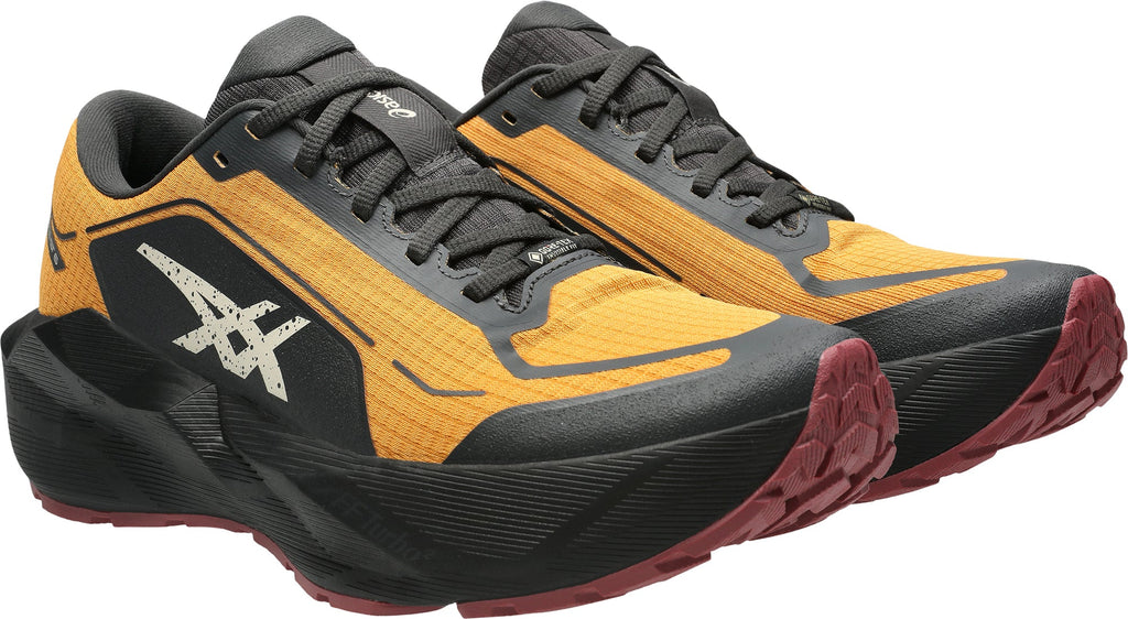 Asics Men's NovaBlast 6 GORE-TEX Running Shoes - Orange