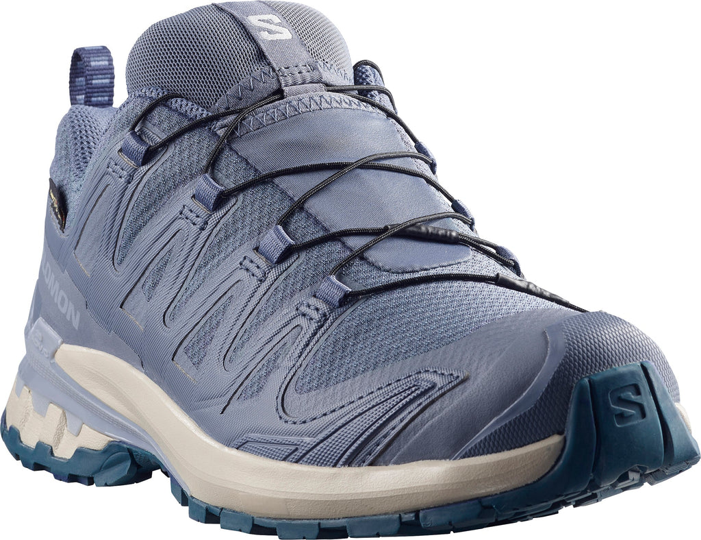 Salomon Women's XA Pro 3D V9 GORE-TEX Trail Running Shoes - Blue